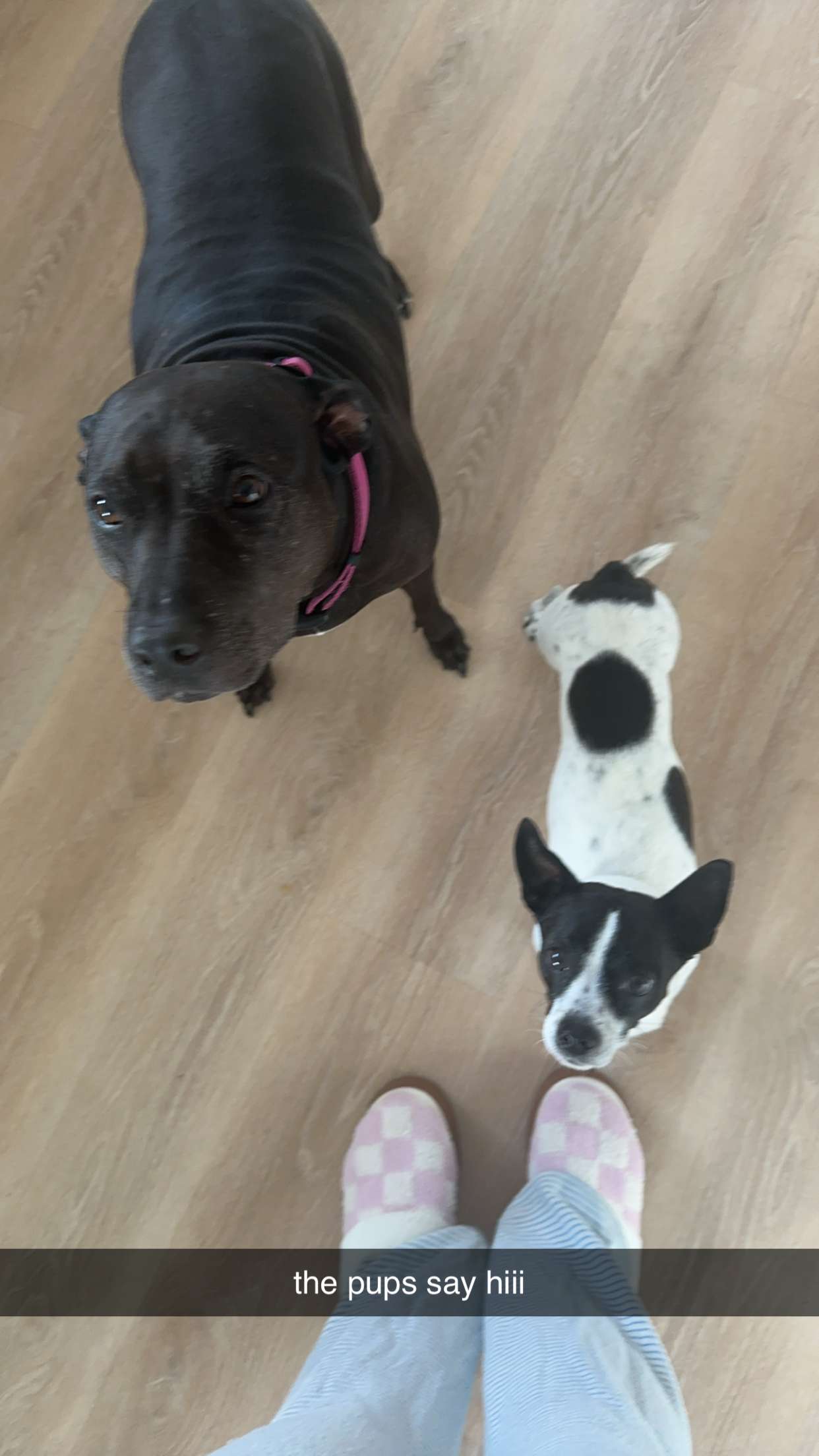 ellieblue2842 snapchat image archive image