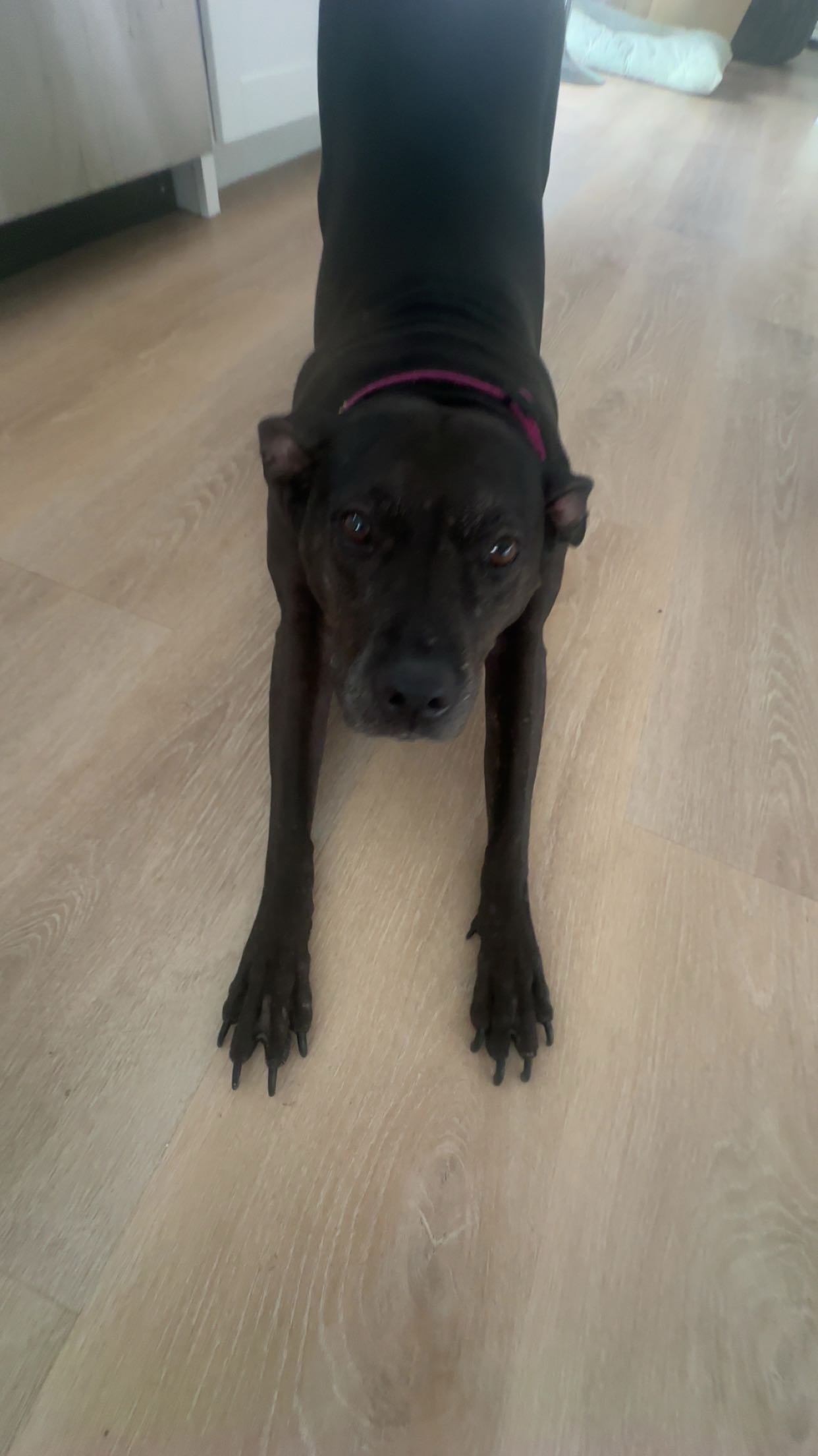 ellieblue2842 snapchat image archive image