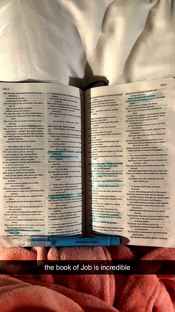 ellieblue2842 image ~ Altpins