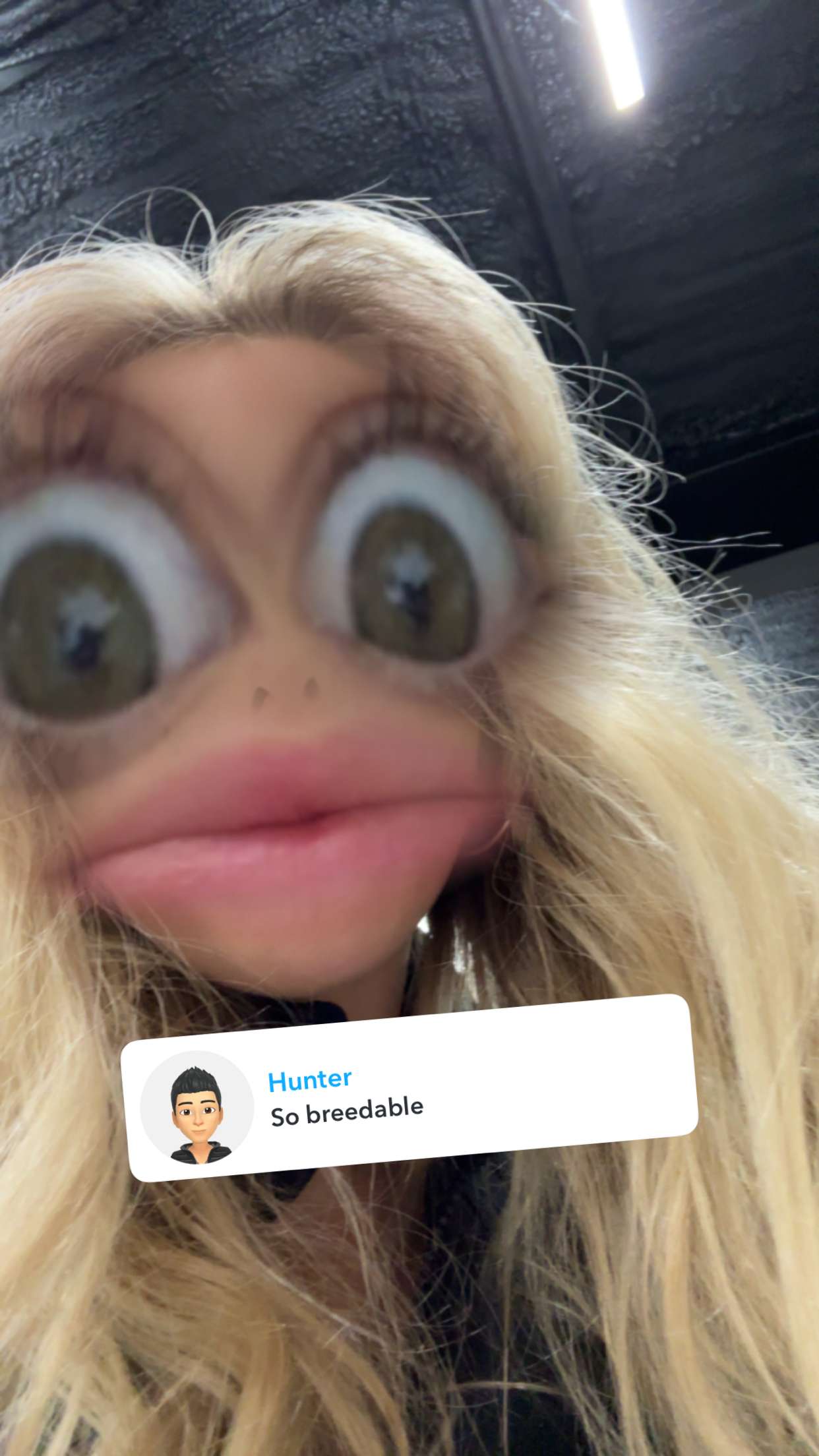 ellieblue2842 snapchat image archive image