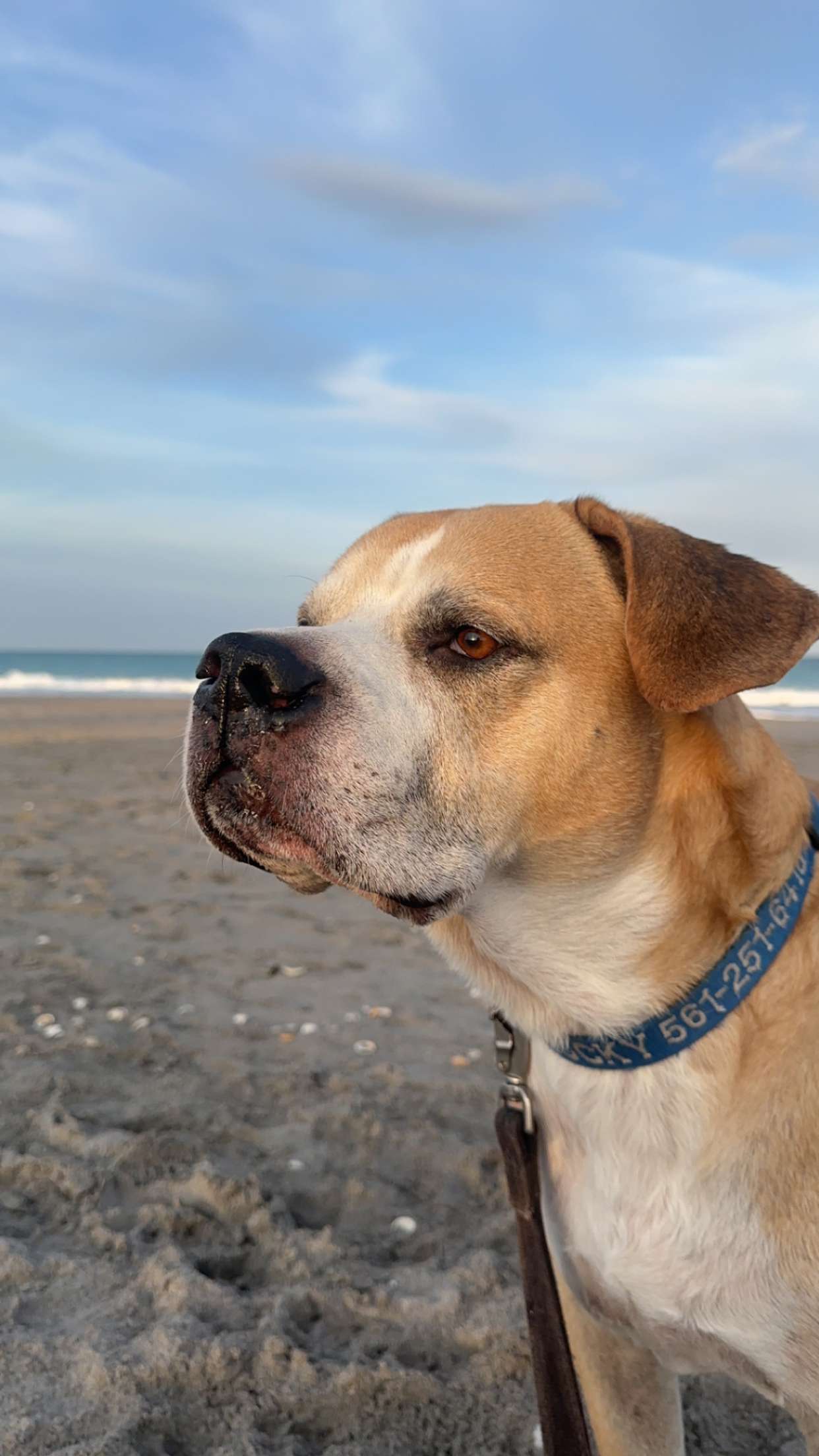 ellieblue2842 snapchat image archive image