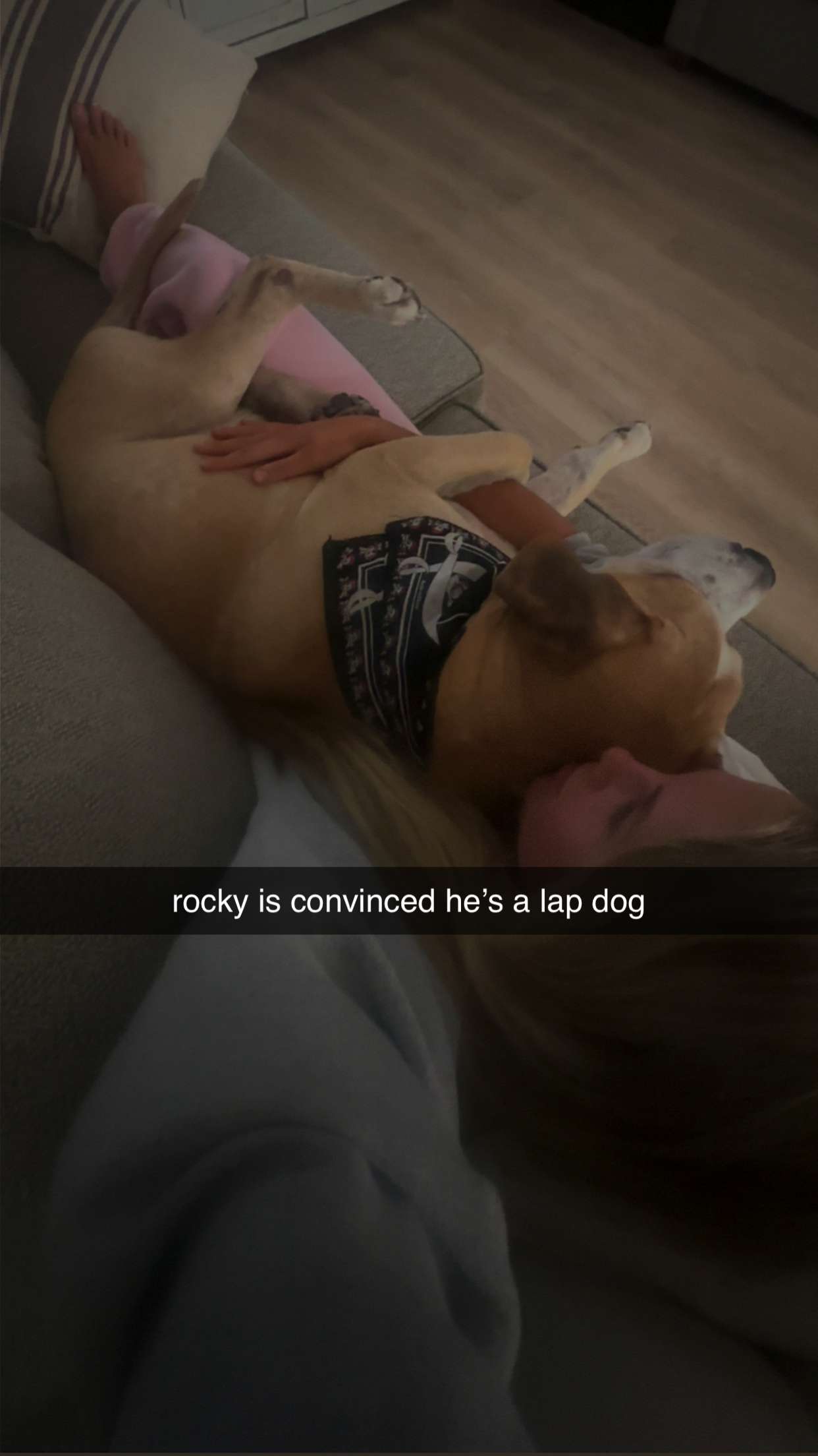 ellieblue2842 snapchat image archive image