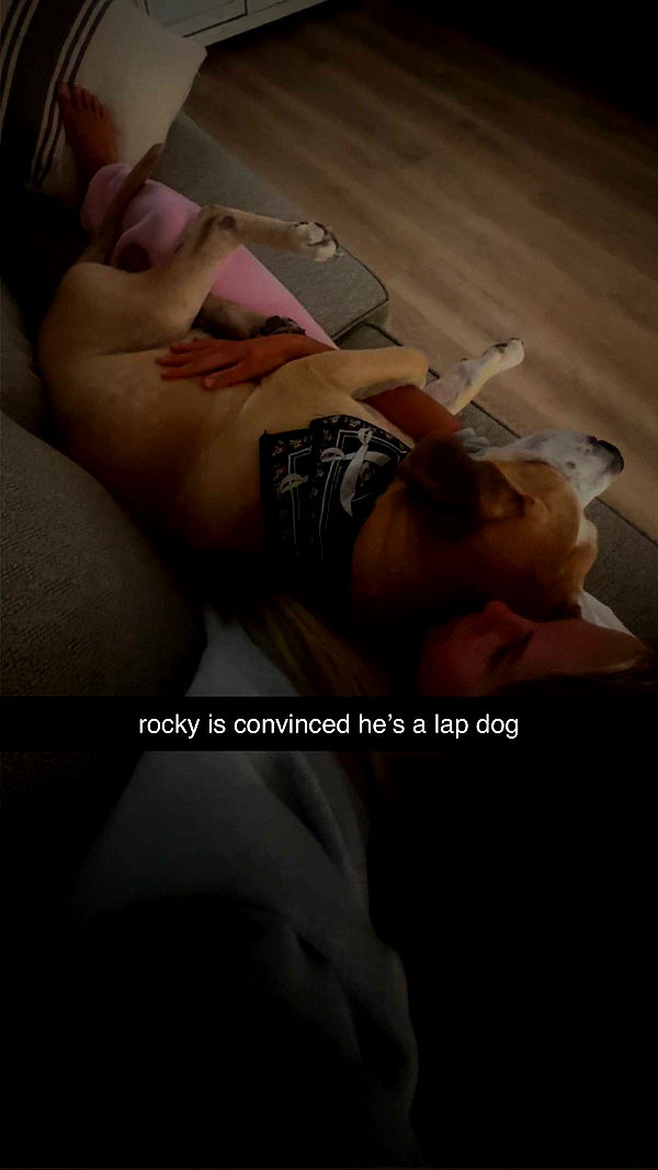 ellieblue2842 image ~ Altpins