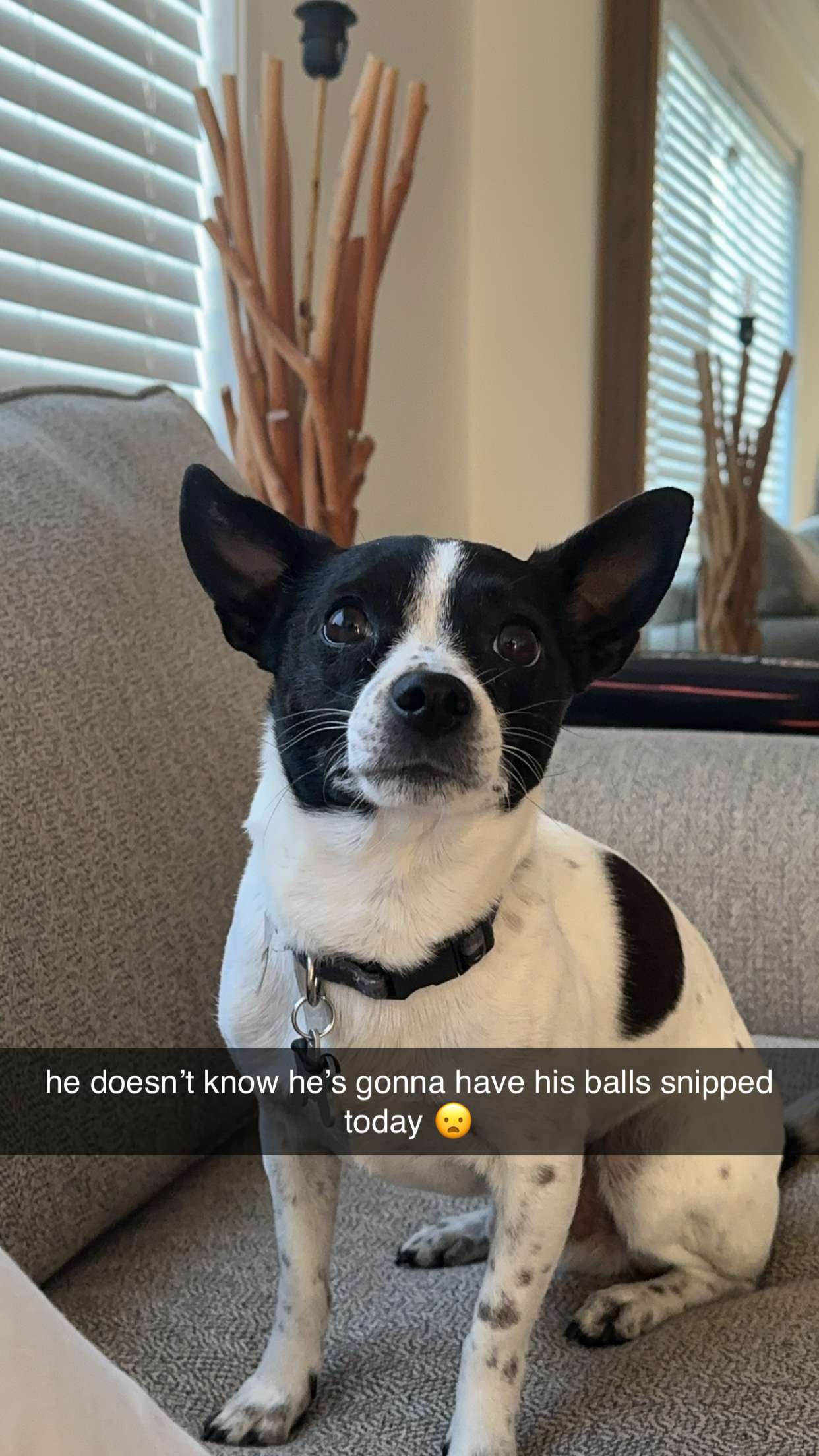 ellieblue2842 snapchat image archive image