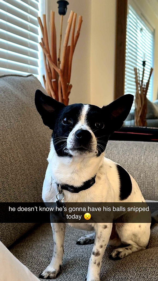 ellieblue2842 image ~ Altpins