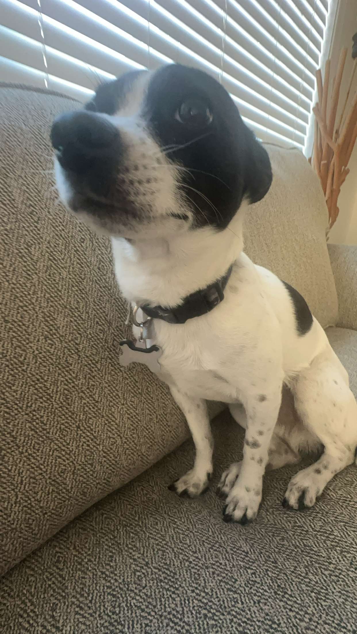 ellieblue2842 snapchat image archive image