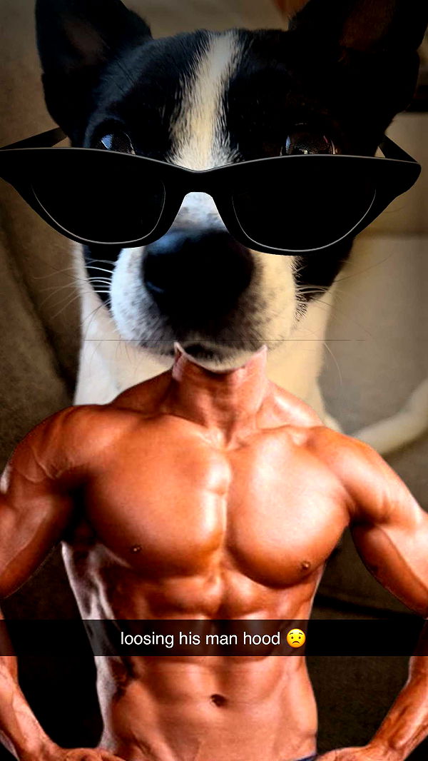 ellieblue2842 image ~ Altpins