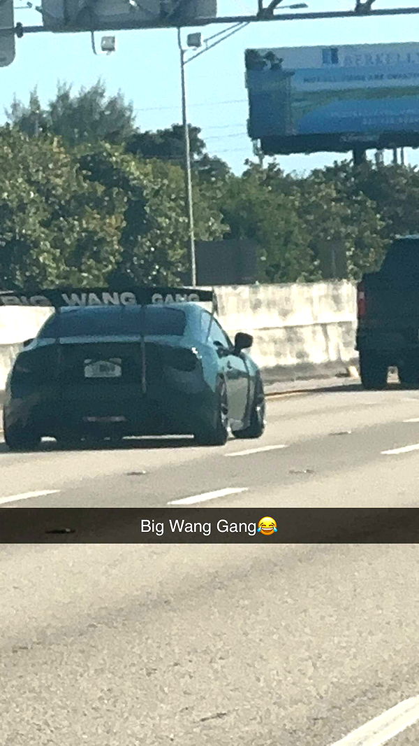 ellieblue2842 image ~ Altpins