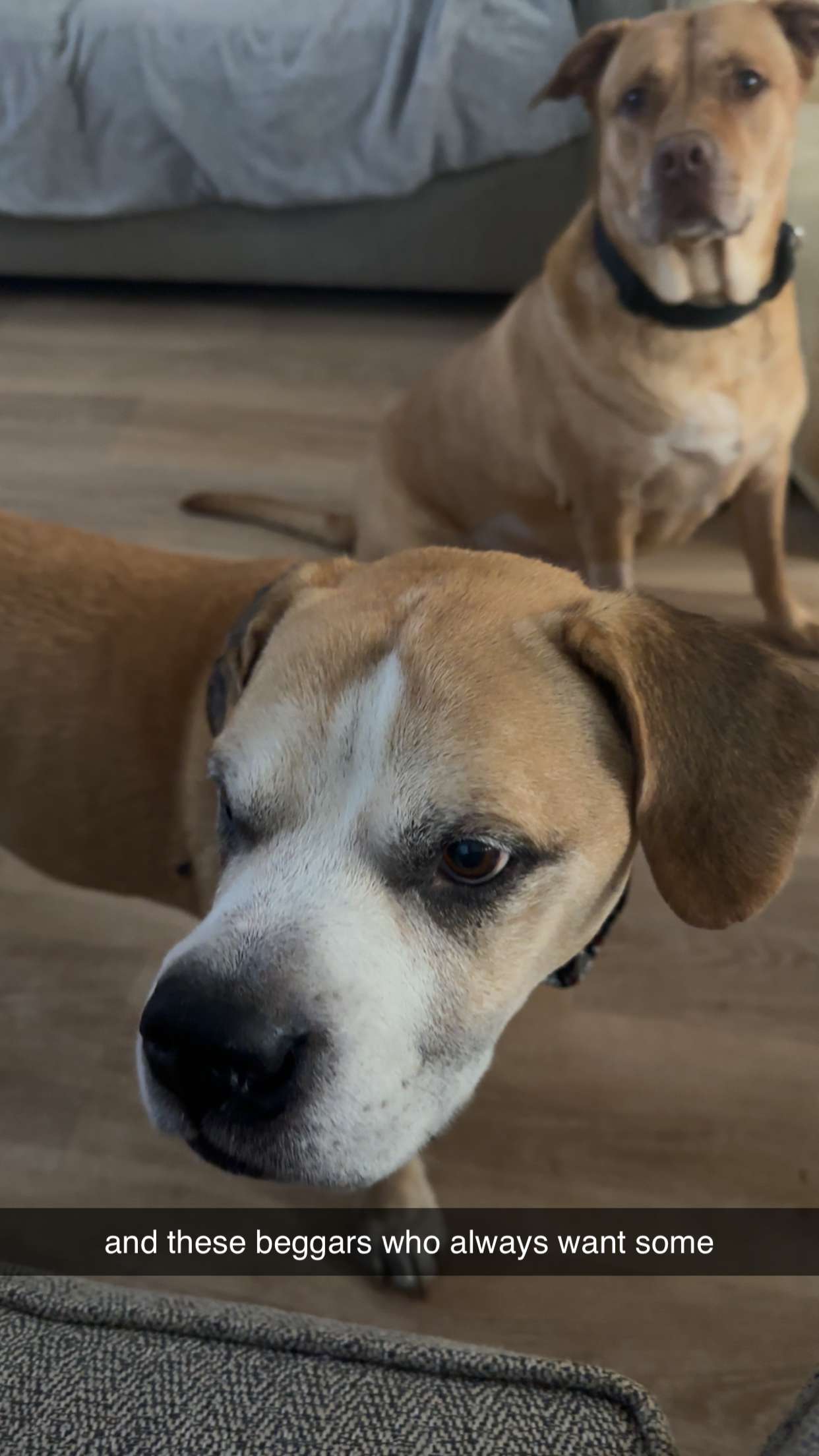 ellieblue2842 snapchat image archive image