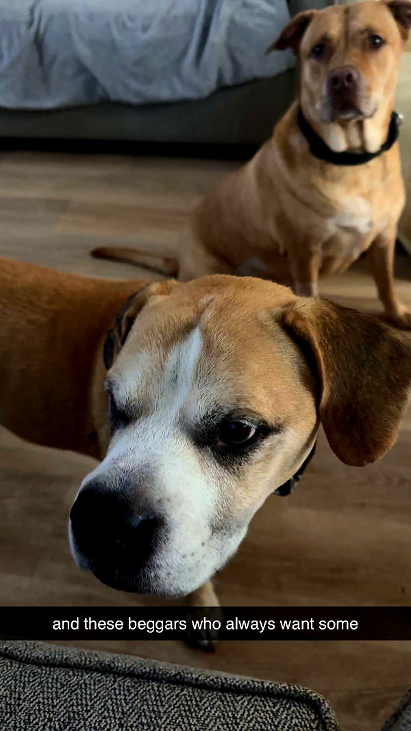 ellieblue2842 image ~ Altpins