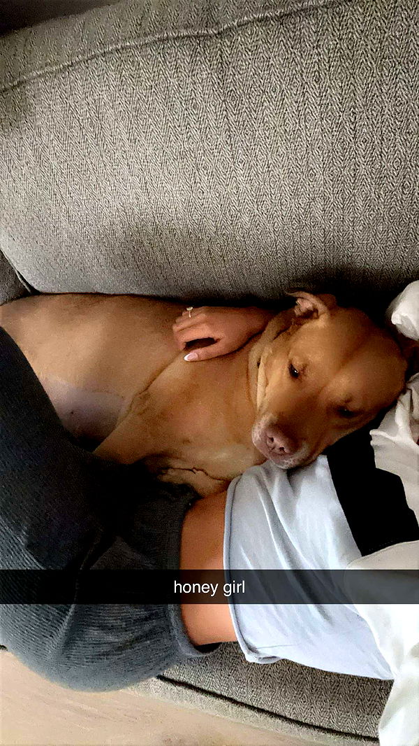 ellieblue2842 image ~ Altpins