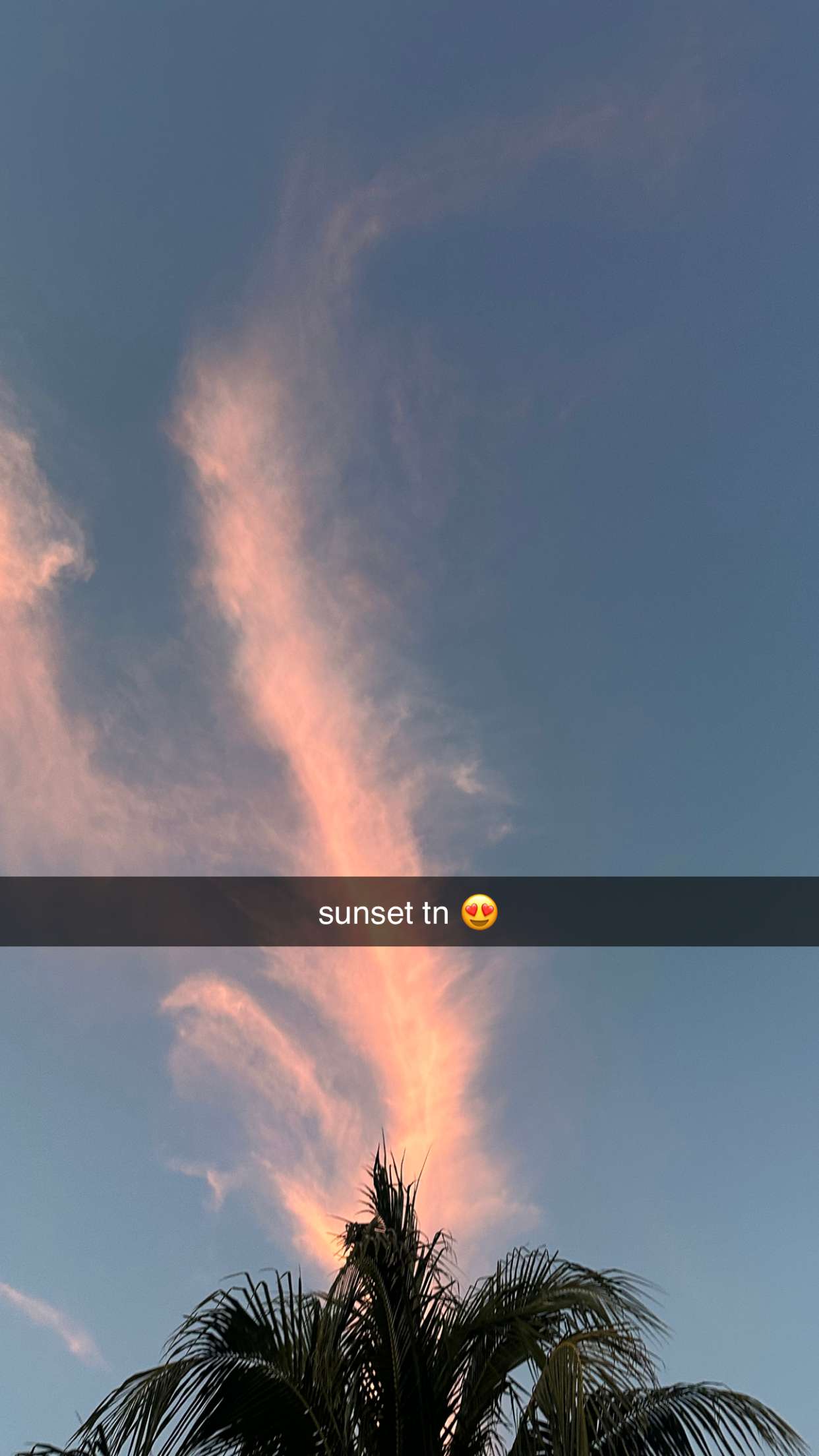 ellieblue2842 snapchat image archive image