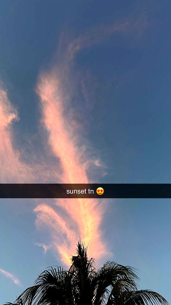 ellieblue2842 image ~ Altpins