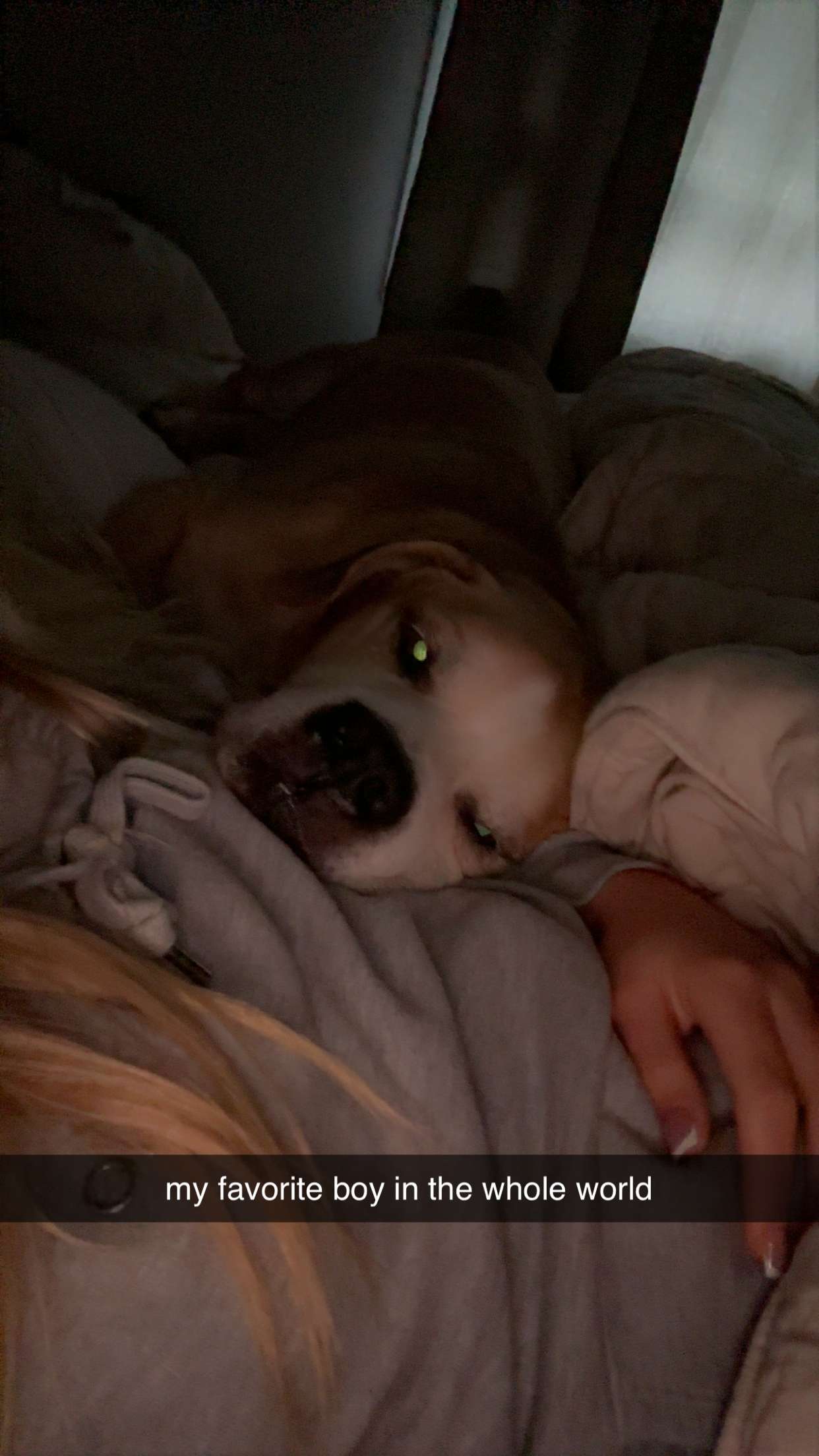 ellieblue2842 snapchat image archive image