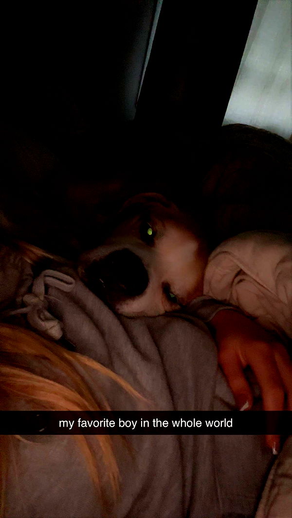 ellieblue2842 image ~ Altpins