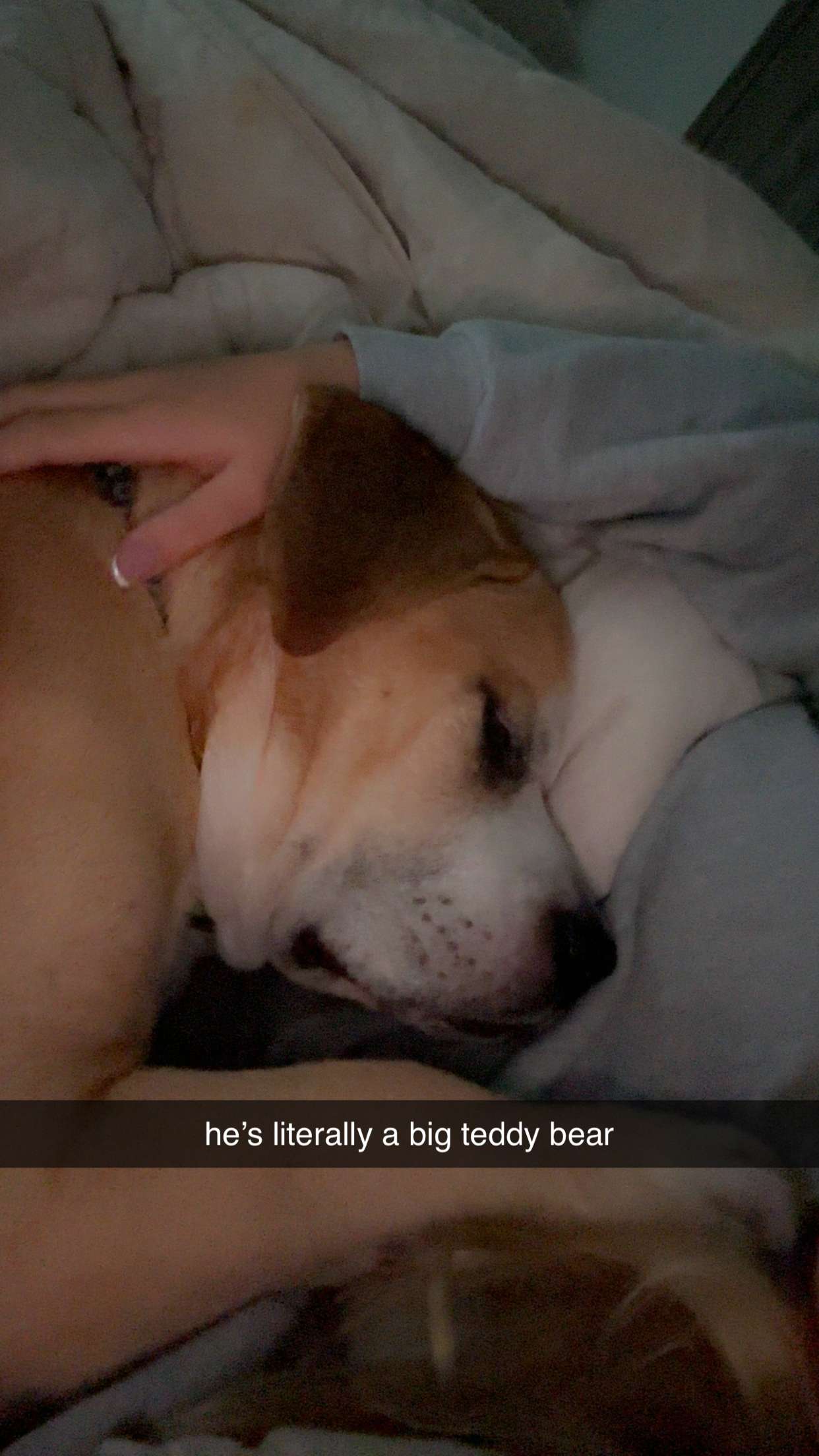 ellieblue2842 snapchat image archive image