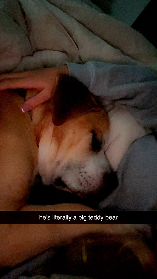 ellieblue2842 image ~ Altpins