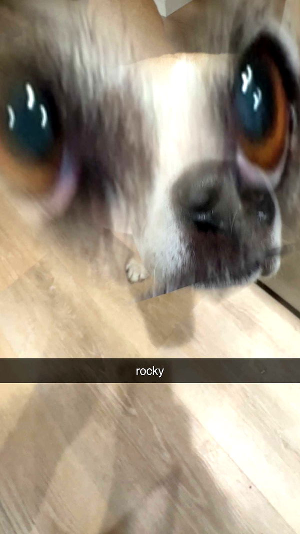 ellieblue2842 image ~ Altpins