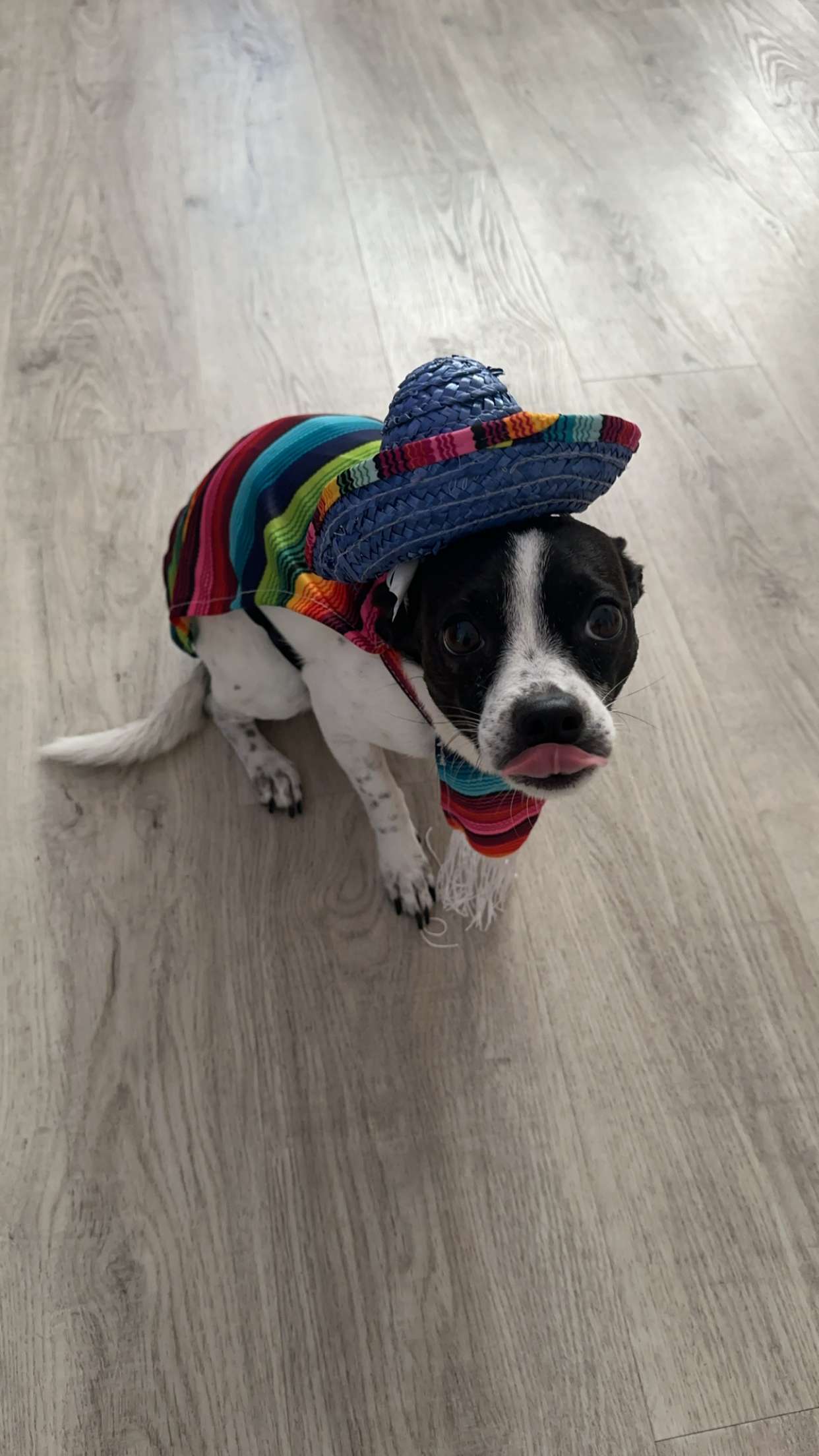 ellieblue2842 snapchat image archive image