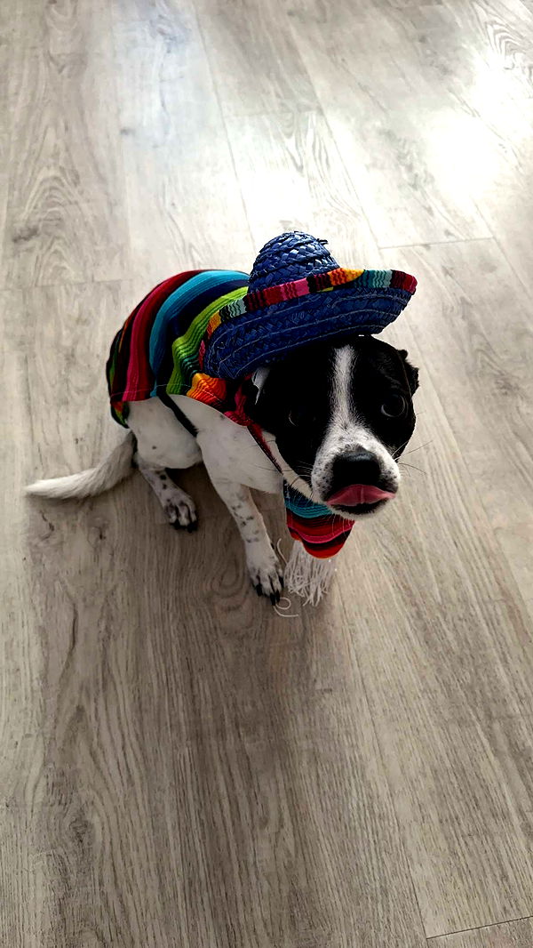 ellieblue2842 image ~ Altpins