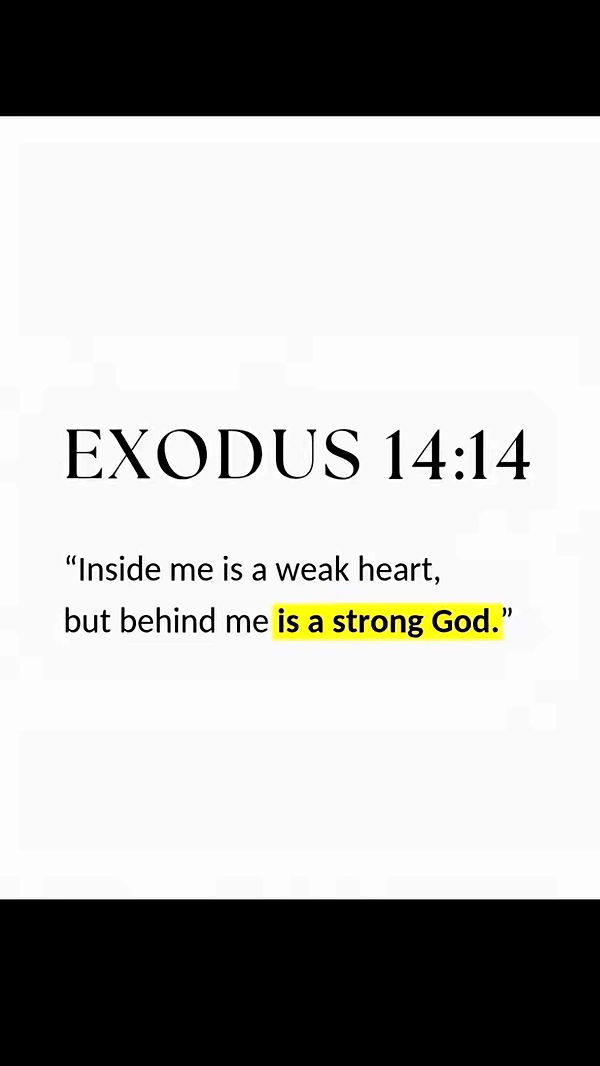 ellieblue2842 image ~ Altpins