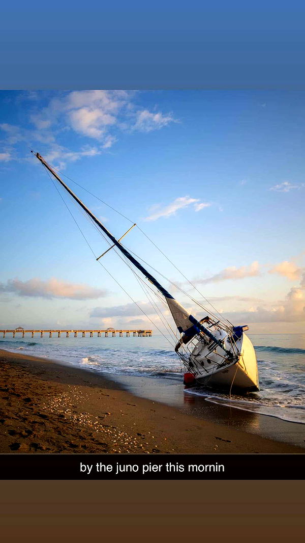 ellieblue2842 image ~ Altpins