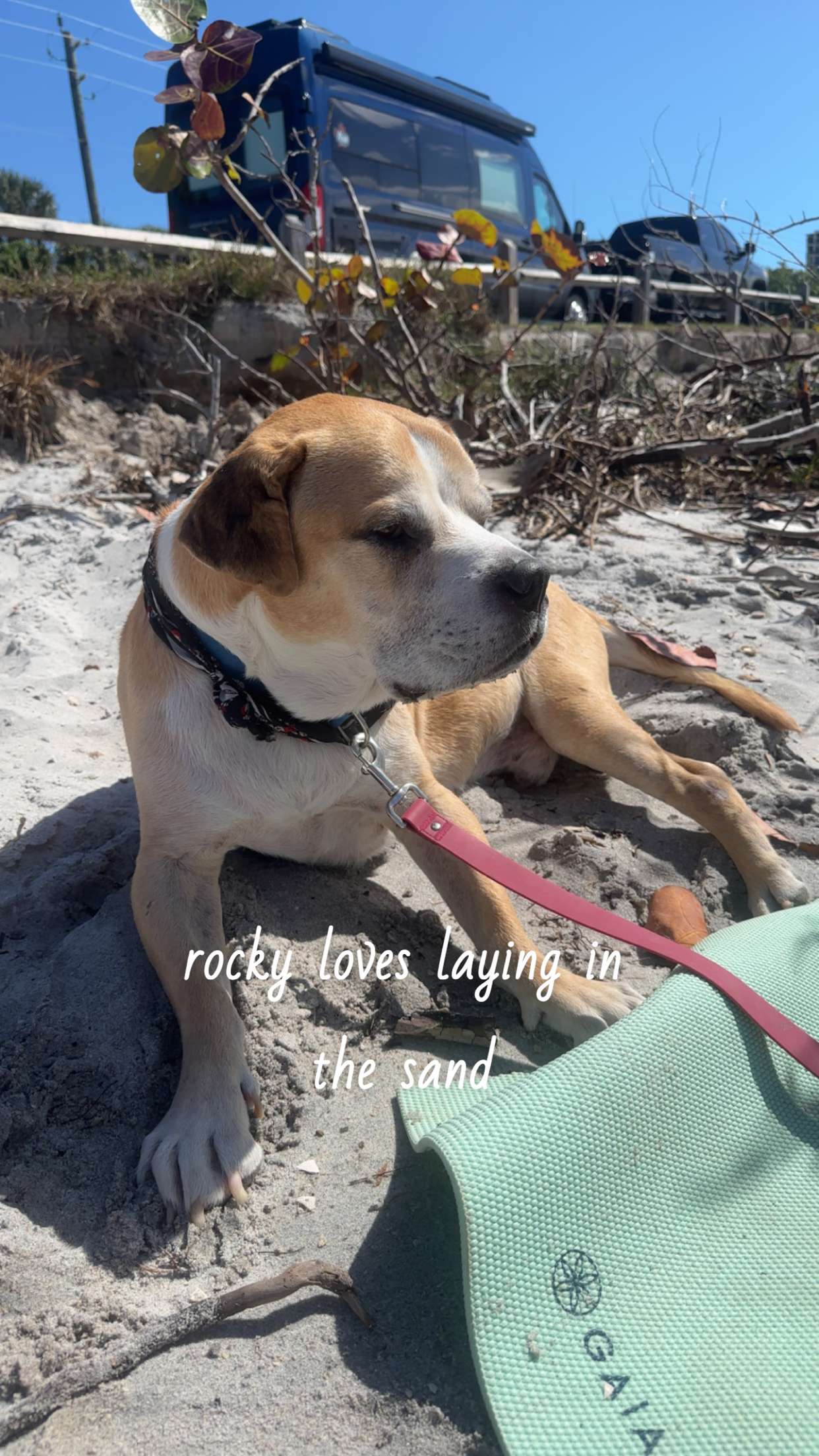 ellieblue2842 snapchat image archive image