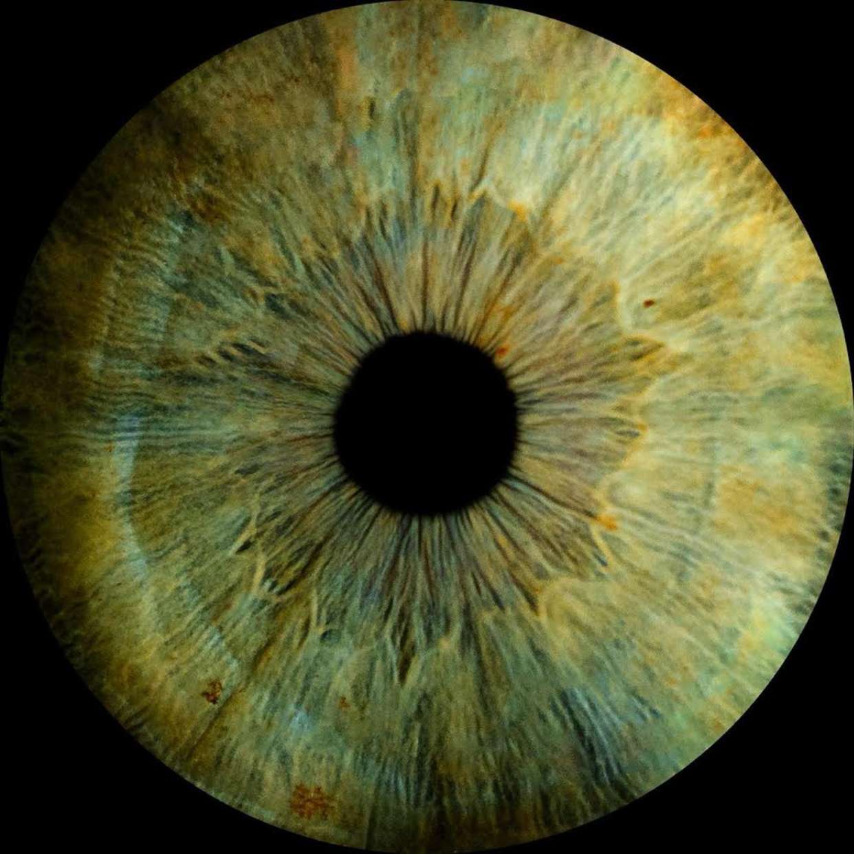 ellieblue2842 snapchat image archive image