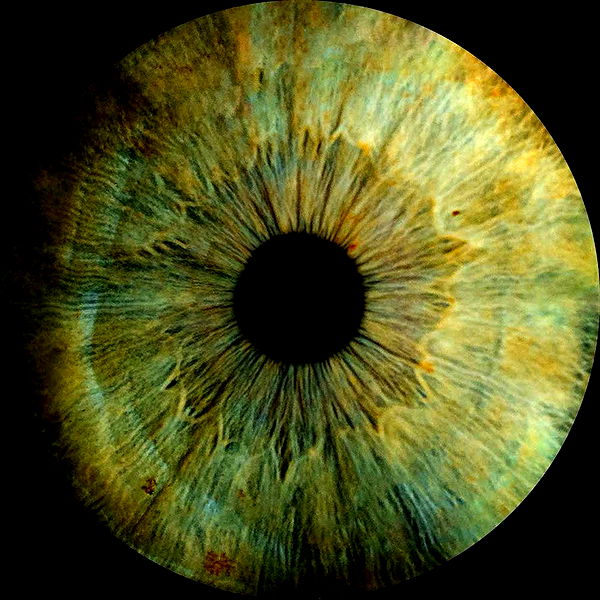 ellieblue2842 image ~ Altpins