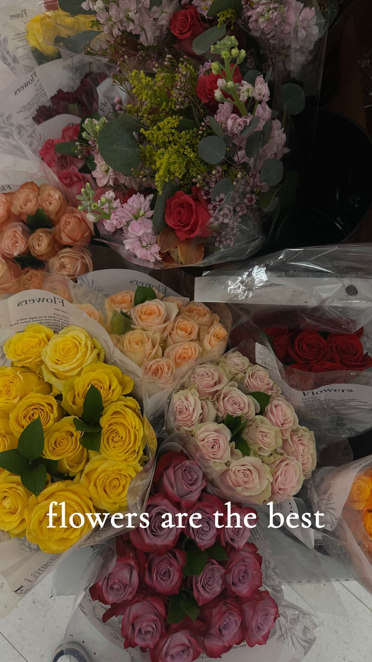 ellieblue2842 snapchat image archive image