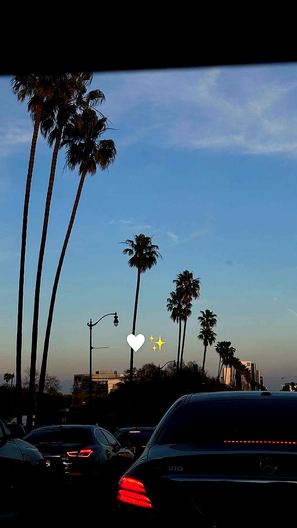 ellieblue2842 image ~ Altpins