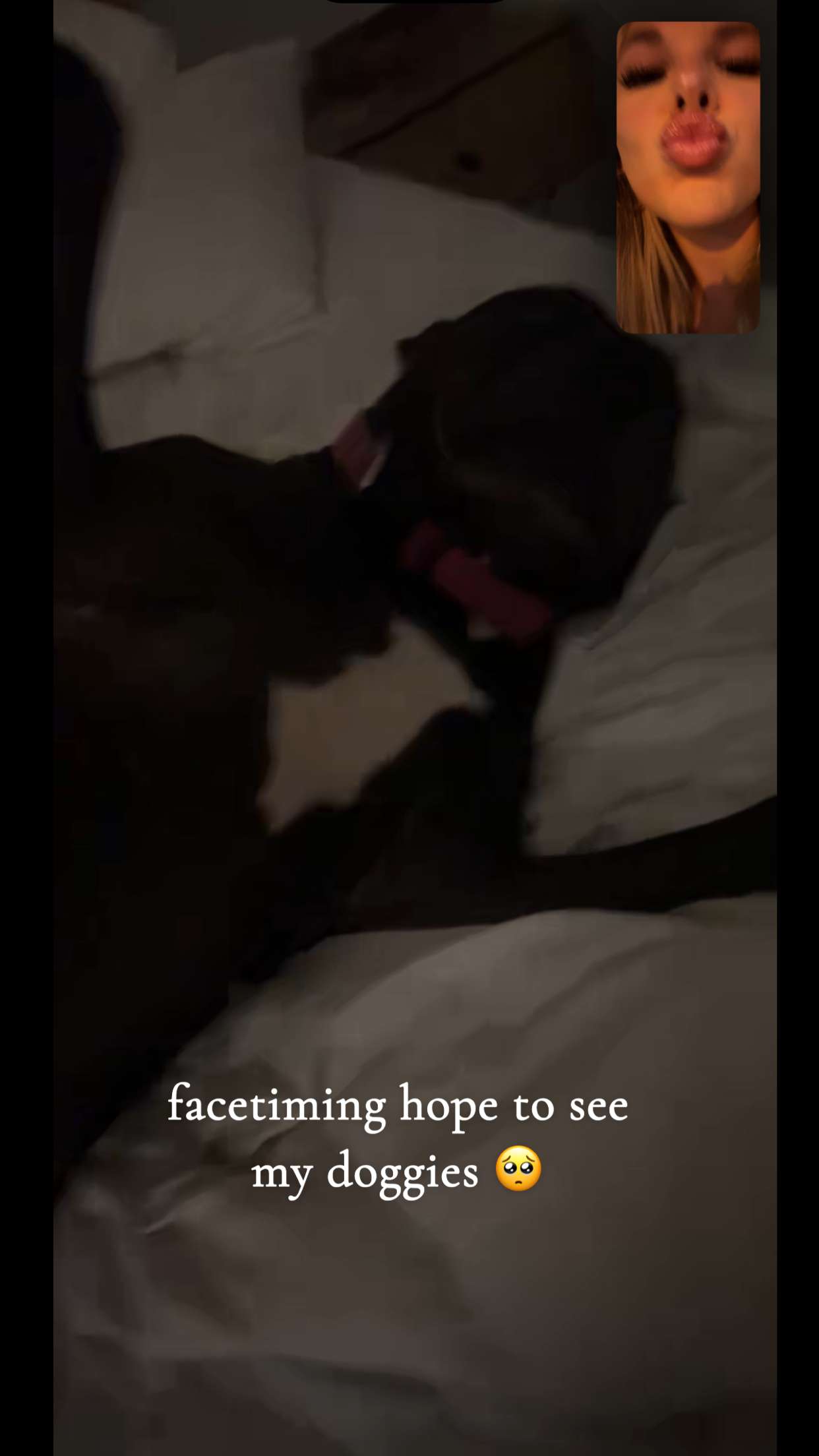 ellieblue2842 snapchat image archive image