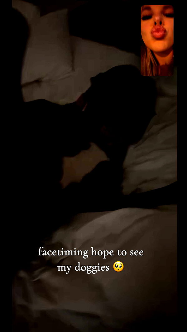 ellieblue2842 image ~ Altpins