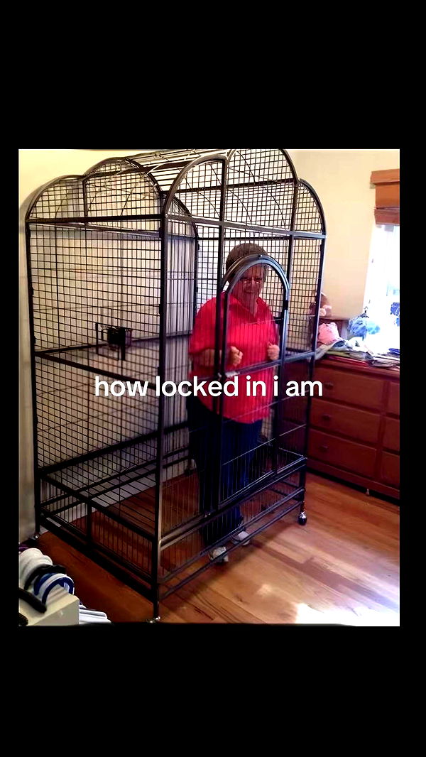 ellieblue2842 image ~ Altpins