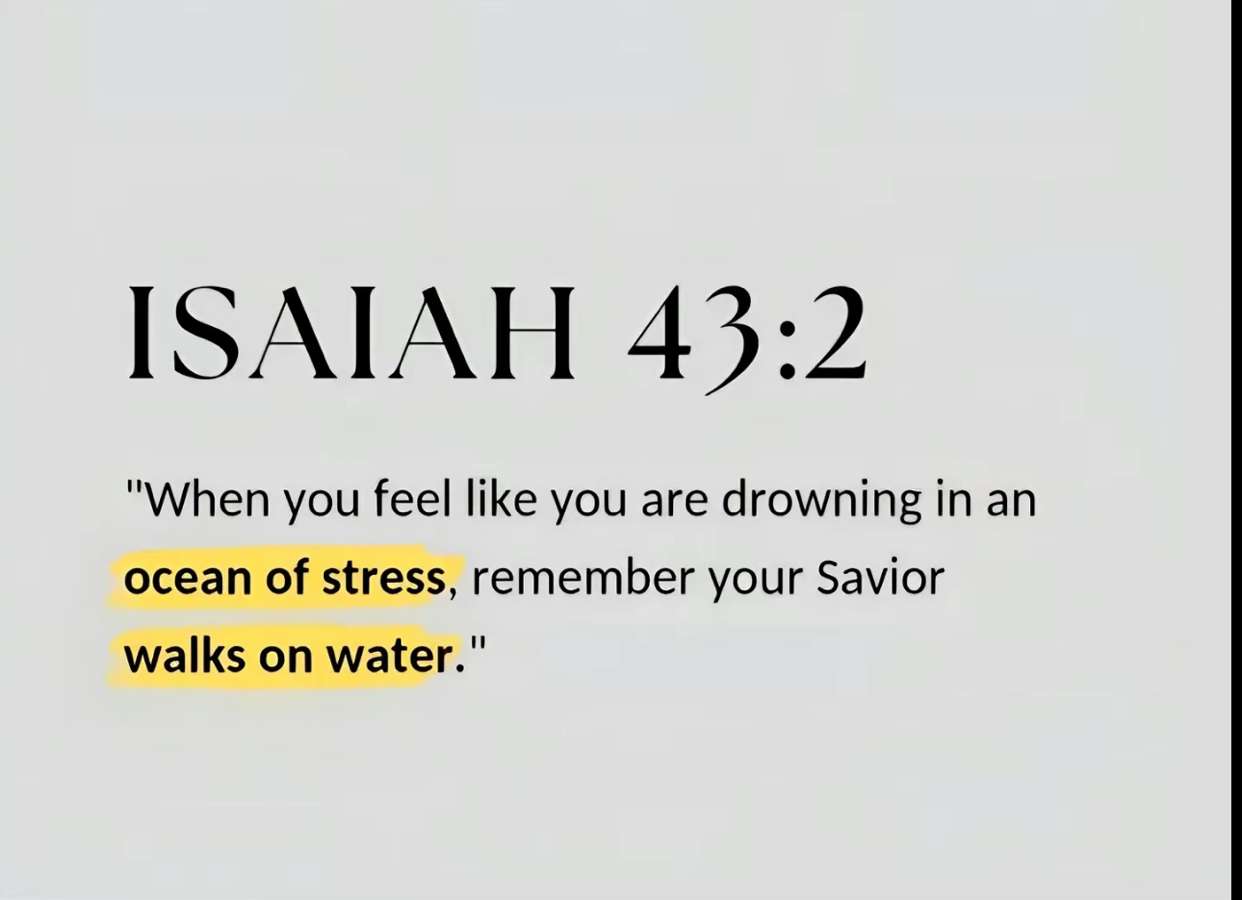 ellieblue2842 snapchat image archive image