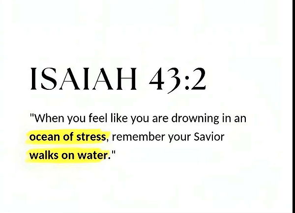 ellieblue2842 image ~ Altpins