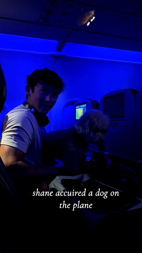 ellieblue2842 image ~ Altpins