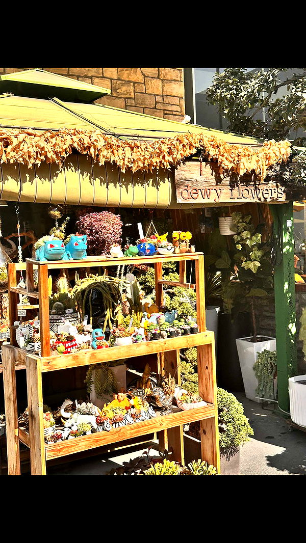 ellieblue2842 image ~ Altpins