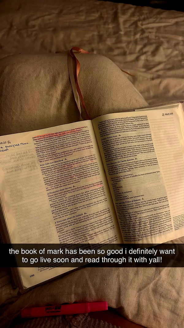 ellieblue2842 image ~ Altpins