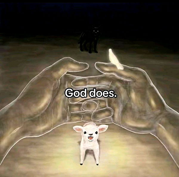 ellieblue2842 image ~ Altpins