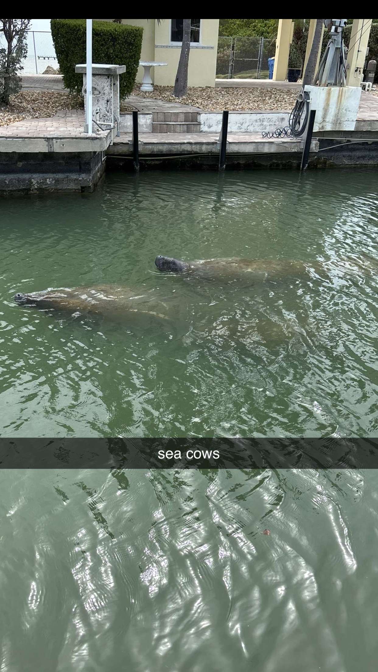 ellieblue2842 snapchat image archive image