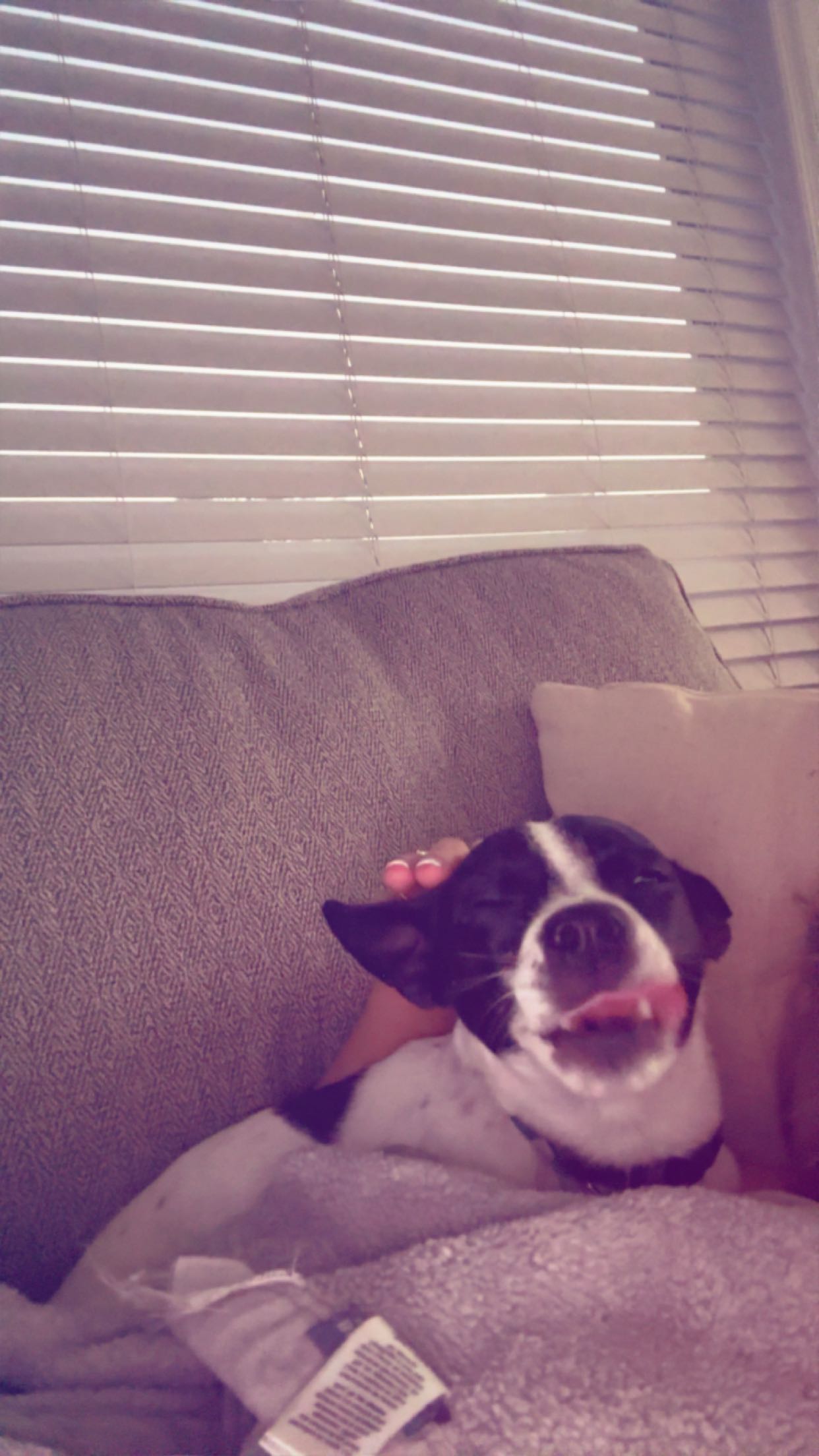 ellieblue2842 snapchat image archive image