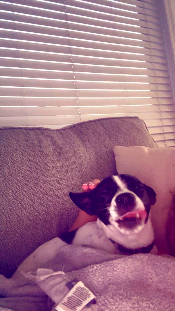 ellieblue2842 image ~ Altpins