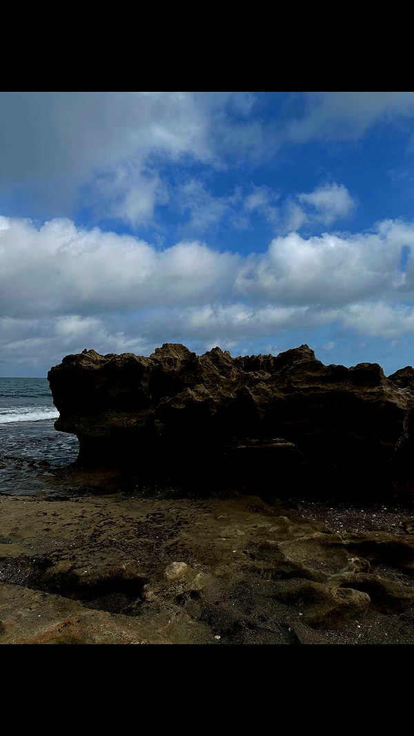 ellieblue2842 image ~ Altpins