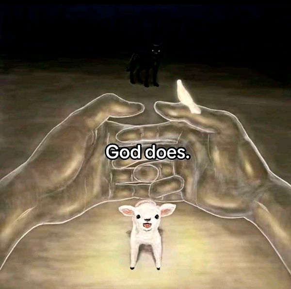 ellieblue2842 image ~ Altpins