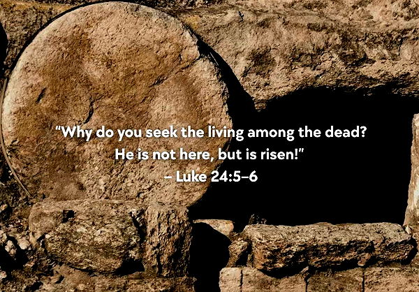 ellieblue2842 image ~ Altpins