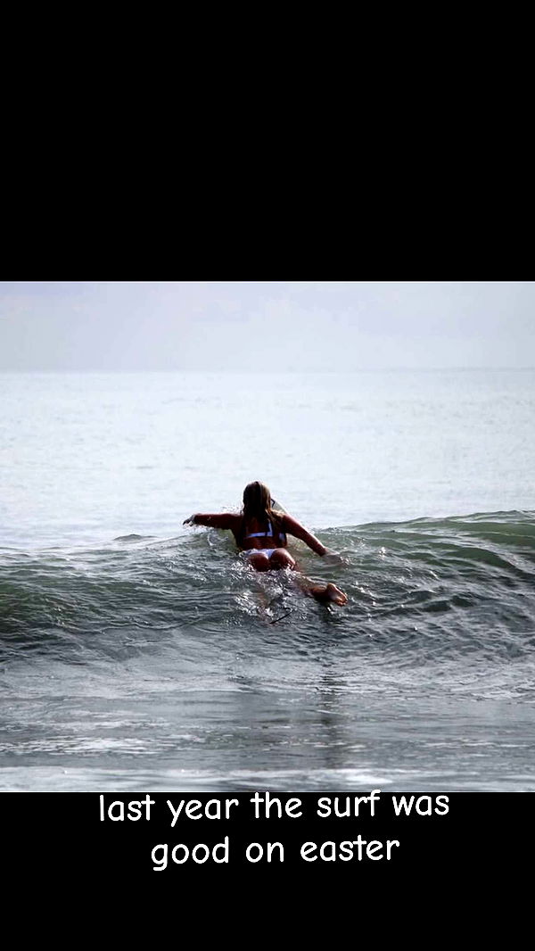 ellieblue2842 image ~ Altpins