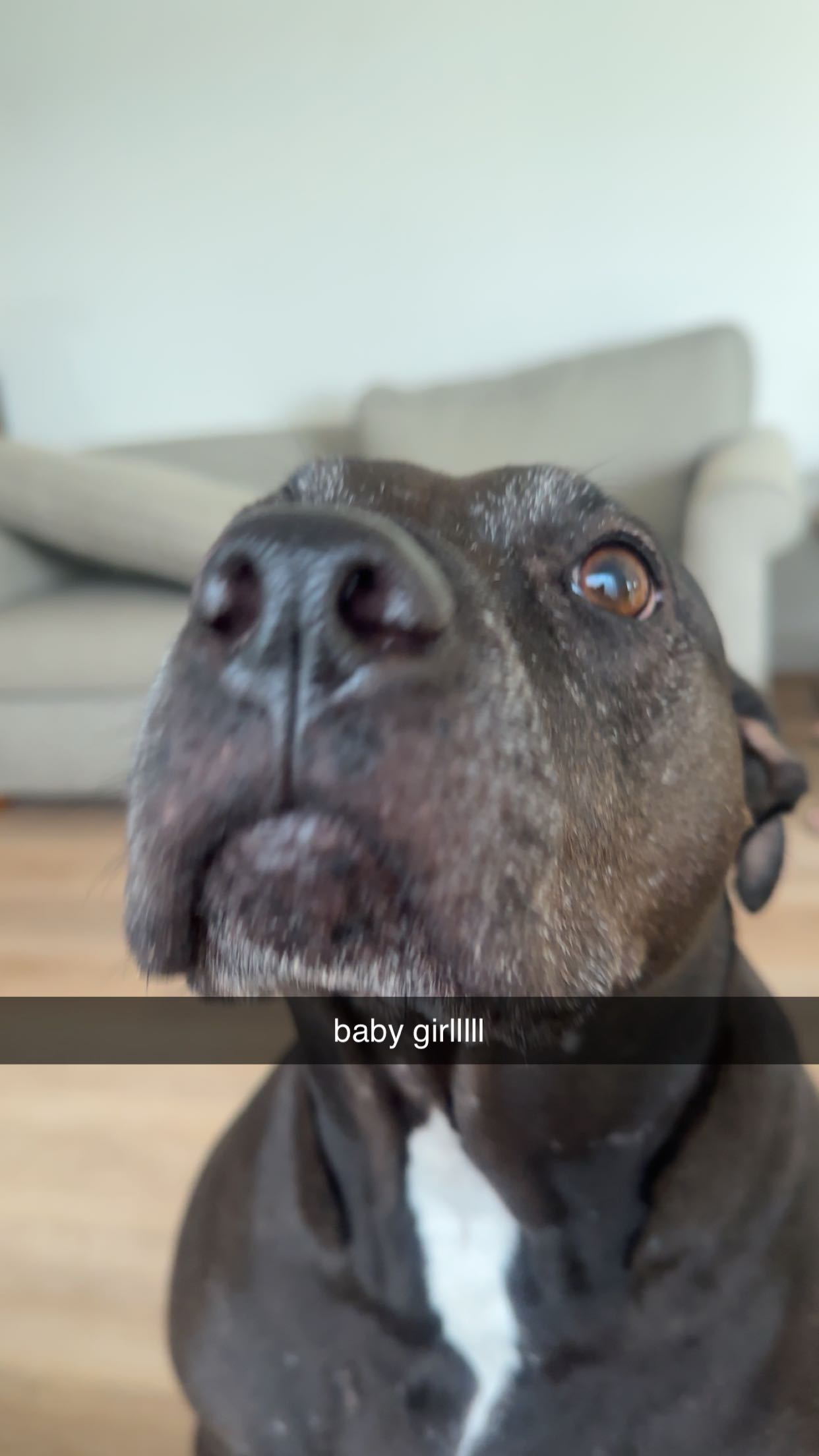 ellieblue2842 snapchat image archive image