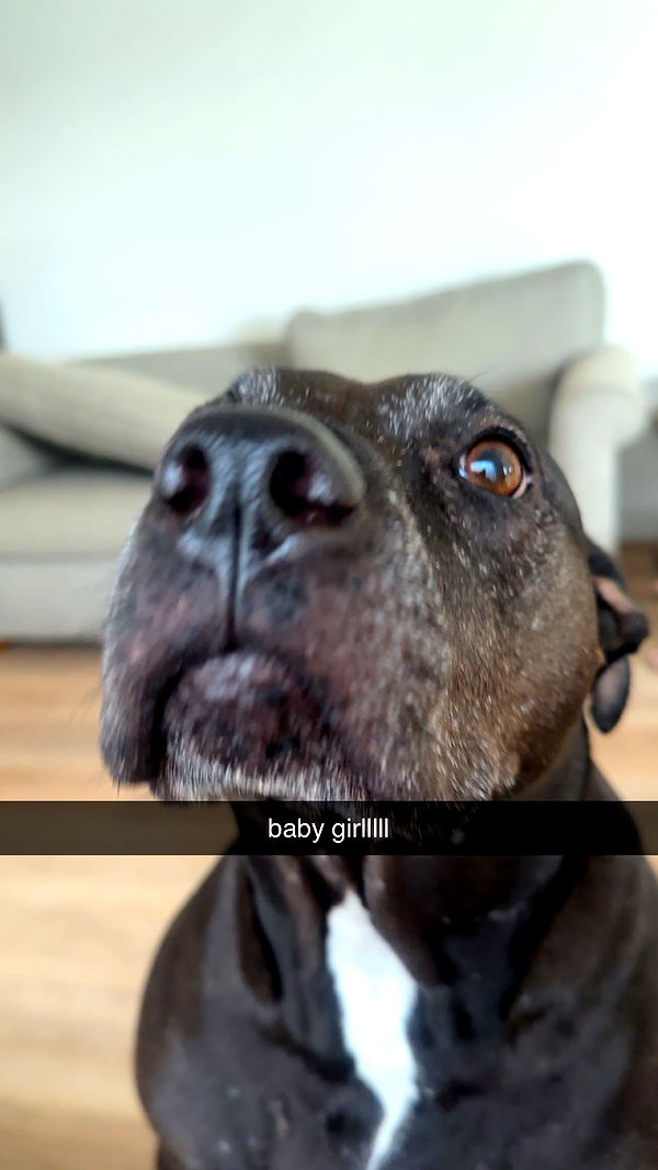 ellieblue2842 image ~ Altpins