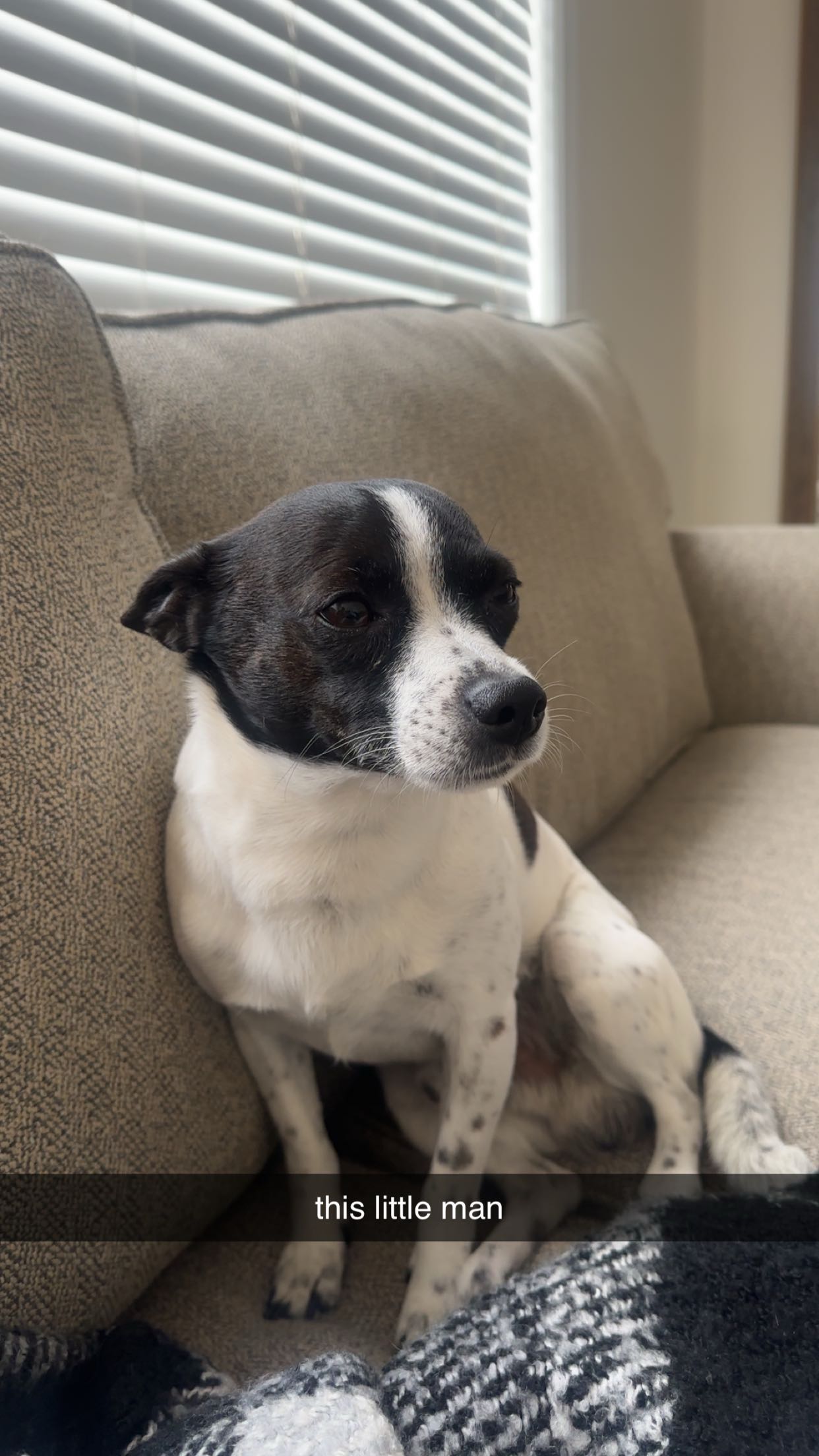 ellieblue2842 snapchat image archive image